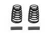 Associated RC10F6 Side Springs Grey 5.2 LB/In