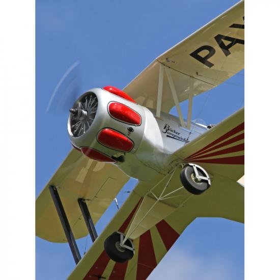 Seagull Bucker Bu-133 Jungmeister (SEA-212)
