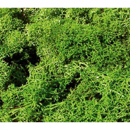 Heki 3230 Monster Lichen Light Green