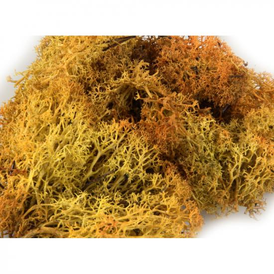 Heki 3233 Monster Lichen Autumn