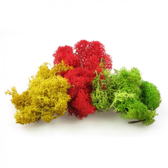 Heki 3232 Monster Lichen Mixed