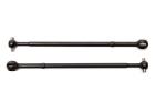Associated CVA Bone T5M