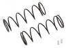 Associated 12mm Big Bore Spring 54mm 4.10Lb