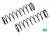 Associated 12mm Big Bore Spring 72mm 2.20Lb