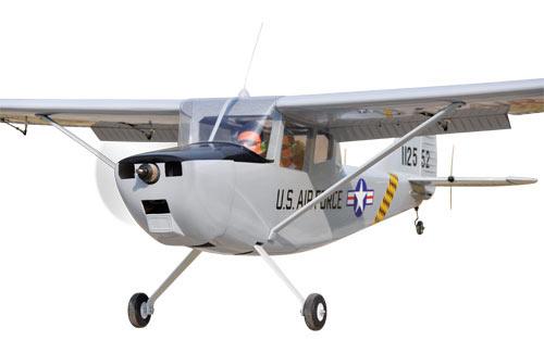 Black Horse Bird Dog ARTF