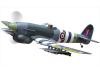 Black Horse Hawker Typhoon 1B ARTF
