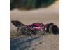 Arrma Typhon 6S V4