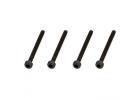 Cap Head Screw M2.5x25mm (4)