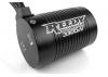 Associated Trophy Rat Brushless - RTR