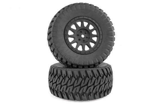 Associated Trophy Rat Brushless - RTR