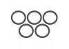 Corally O-Ring - Silicone - 16.2X19.8mm - 5 Pcs