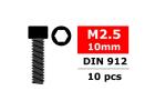 Corally Steel Screws M2. 5 X 10mm Hex Socket Head 10