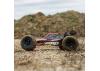 ECX AMP Buggy - Black/Yellow
