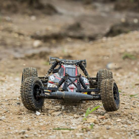 ECX AMP Buggy - Black/Yellow
