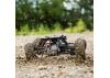 ECX AMP Buggy - Black/Yellow