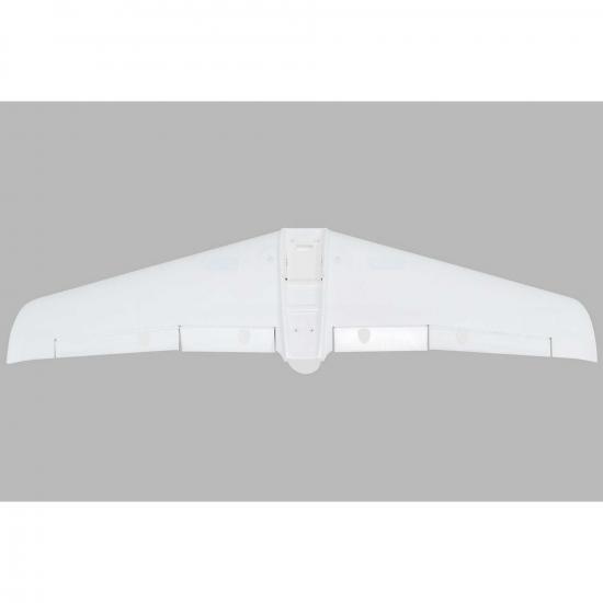 Painted Wing V1200