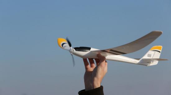 E Flite Radian UMX - BNF