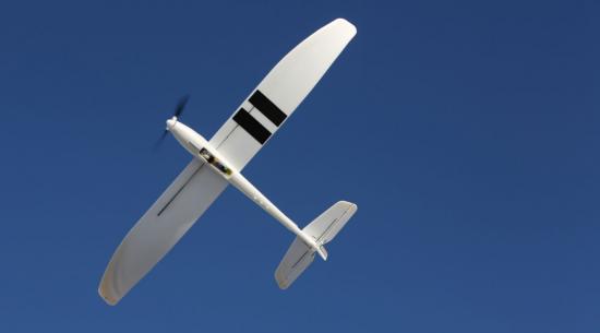 E Flite Radian UMX - BNF