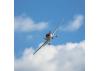 E Flite UMX Cirrus SR22T - BNF Basic