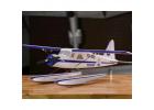 Flite Test Micro Beaver