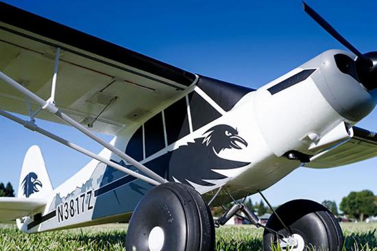 FMS 1700mm PA-18 Super Cub With Floats + Reflex System - ARTF