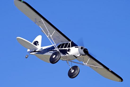 FMS 1700mm PA-18 Super Cub With Floats + Reflex System - ARTF