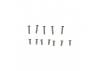FMS Ranger Screw Set