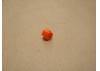 Plastic Hex Drive For Fastrax Torque Start ** CLEARANCE **