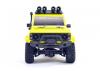 FTX Outback Mini 2.0 Paso - Yellow