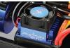 FTX Bugsta Brushless