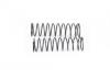 FTX Vantage/Carnage Front Shock Spring (2)