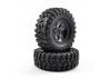 FTX Outback Pre-Mounted 6Hex/T Yre (2) - Black