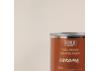 Guild Materials Matt Enamel Fuel-Proof Paint Chroma Clear (125ml Tin)