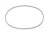 Tamiya Xv-01 Drive Belt (573mm)
