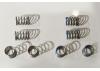 Tamiya Sw-01 Spring Set Sh