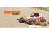 Tamiya Buggy Champ/Rough Rider Ltd