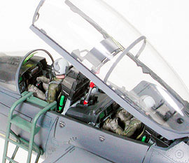 Tamiya F-15E With Bunker Buster