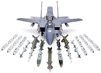 Tamiya F-15E With Bunker Buster