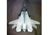 Tamiya F-14A Tomcat Black Knights
