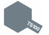Tamiya Spray Paint TS-100 SG Bright Gun Metal
