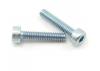 Tamiya 2X10mm Cap Screw (2Pcs)