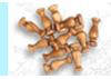 Artesania Column Walnut 8mm (18U)