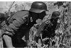 Zvesda German Regular Infantry 1939-43