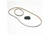 Hobao H4E Pulley 19T + Belt Set