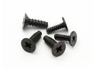 TP SCREW SET (M2 x 6mm 10pcs/M2.6 x 8mm 16 pcs)