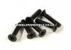 Flat Head Screw M3x15mm (6)