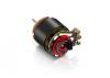 Hobbywing Xerun D10 Drift 13.5T Black Motor