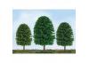 JTT 92033 Scenic-Tree, 1 to 2, Z-Scale, (55 per pack)
