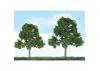 JTT 92109 Scenic Deciduous, 5.5 to 6, O-Scale, (2 per pack)