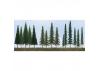 JTT 92117 Pine Conifer Spruce, 2.5 to 6, N to HO-Scale, (45 per pack)